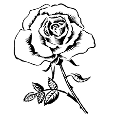 Symbol